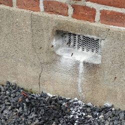 Bekæmpelse af hvepse der er gået i murværk og ventilation i Holstebro